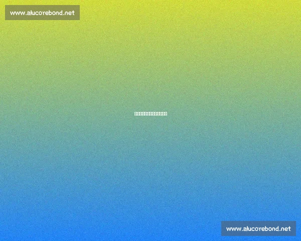 千里归途:信鸽与鸽友的坚守 千里归途:信鸽与鸽友的坚守