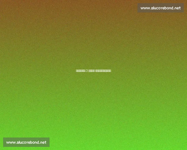 吕孟洲季前赛 3 分钟双响 反越位神射惊艳西班牙 吕孟洲季前赛 3 分钟双响 反越位神射惊艳西班牙