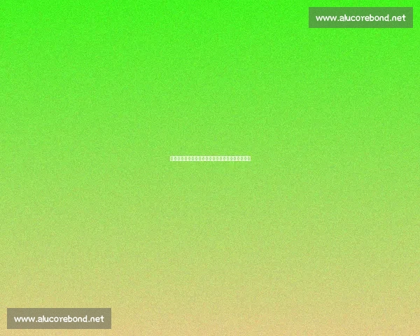 泽卡伤病无大碍恢复合练,泰山锋线盼其激活三叉戟