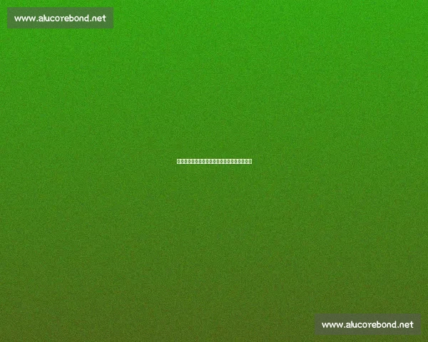 奥运后心态松弛，孙颖莎以全新状态迎战世乒赛