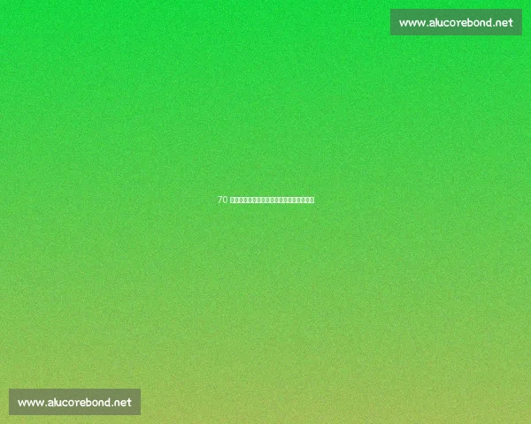 70 岁赛车手孙玉卿:速度与激情的人生下半场 70 岁赛车手孙玉卿:速度与激情的人生下半场