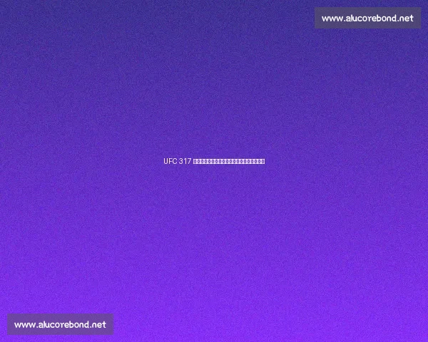 UFC 317 终极备战：八角笼即将点燃，谁能笑到最后？